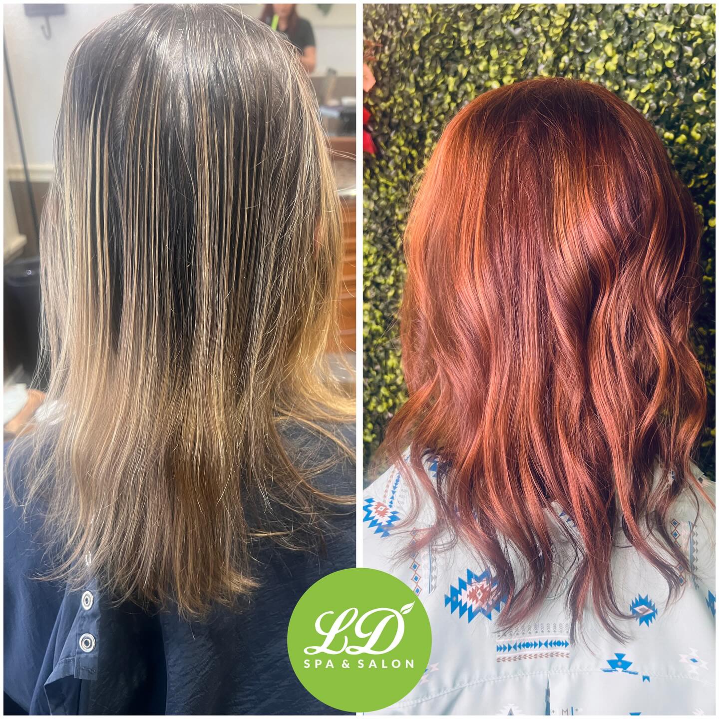 Professional hair services at LuDawn Spa & Salon in Ocala Florida